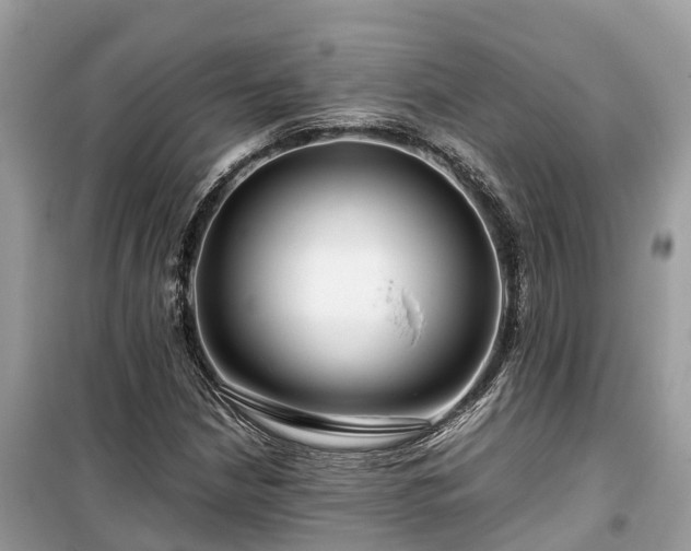 X0000099511210200805221415