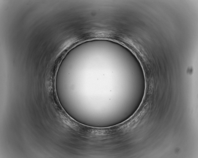 X0000099511211200805221415