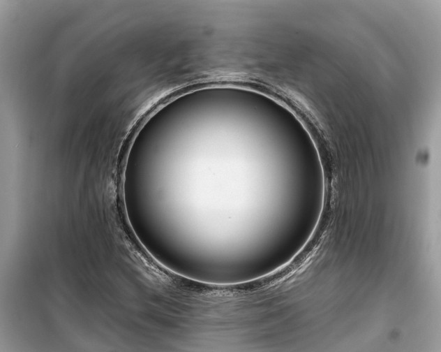 X0000099511212200805221415