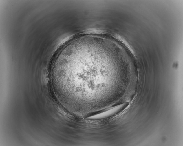 X0000099511213200805221415