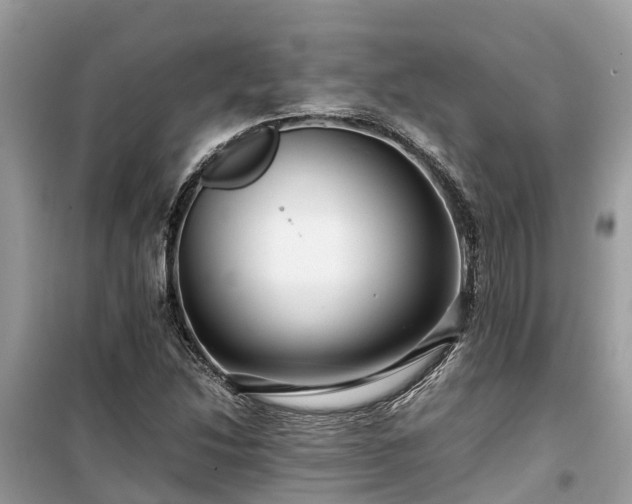 X0000099511214200805221415