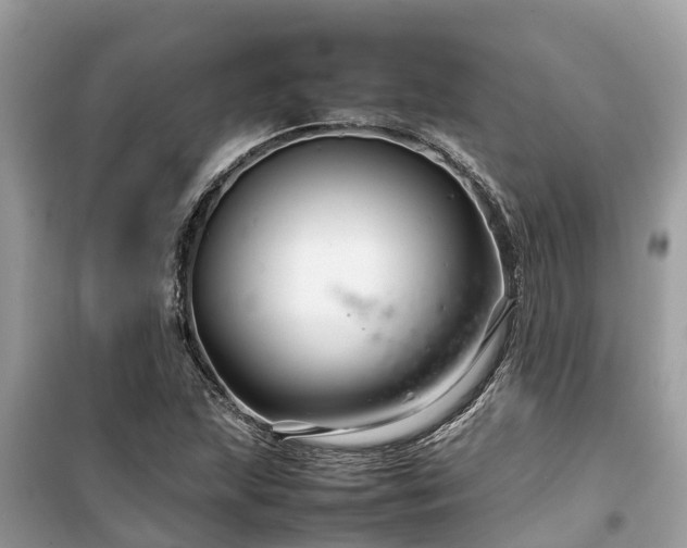 X0000099511215200805221415