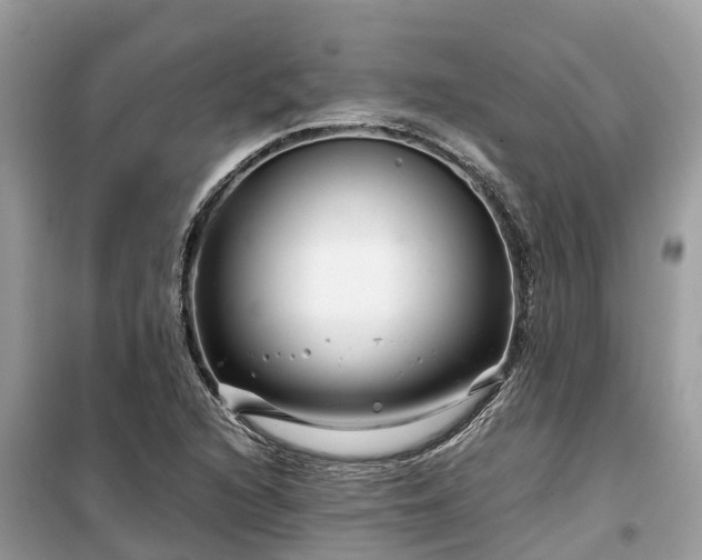 X0000099511216200805221415