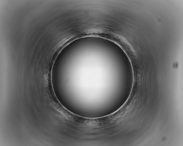 X0000099511217200805221415