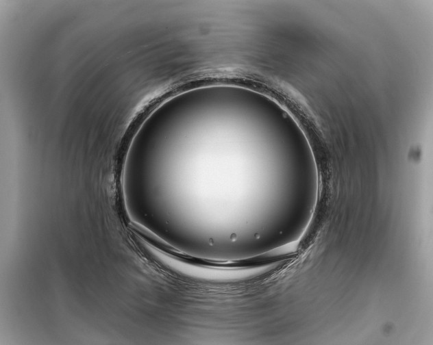 X0000099511218200805221415