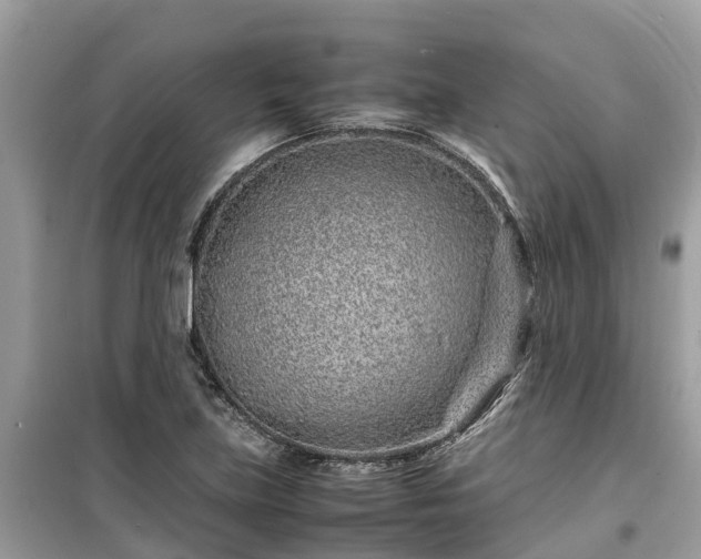 X0000099511219200805221415