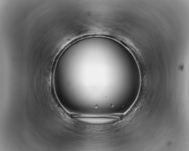 X0000099511220200805221415