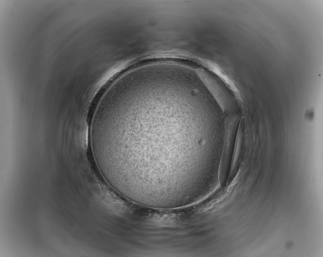 X0000099511221200805221415