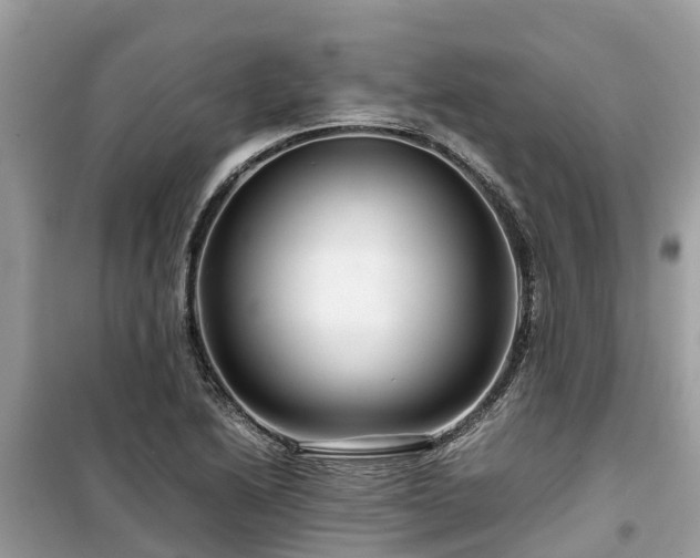 X0000099511222200805221415