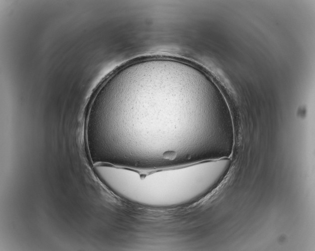 X0000099511224200805221415
