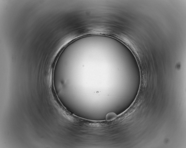 X0000099511227200805221415