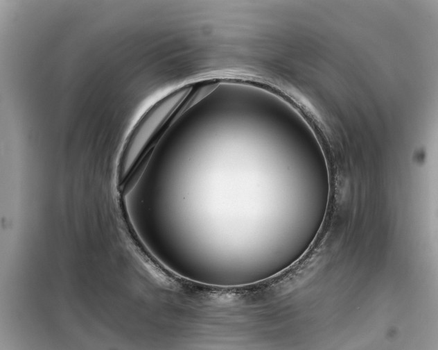 X0000099511230200805221415