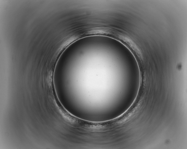 X0000099511233200805221415