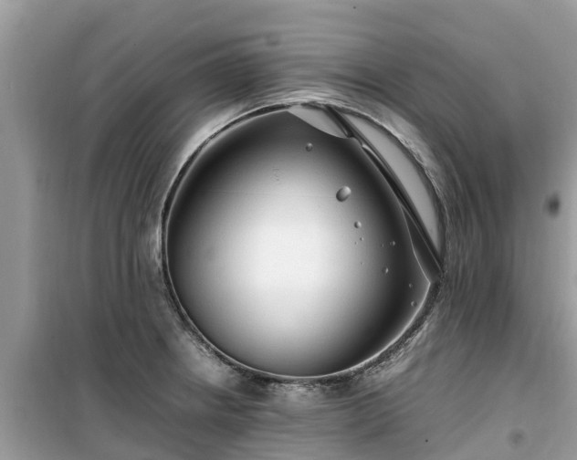 X0000099511234200805221415