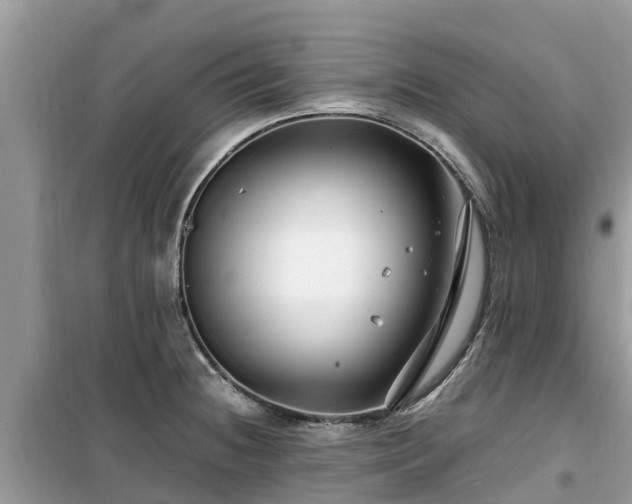 X0000099511236200805221415