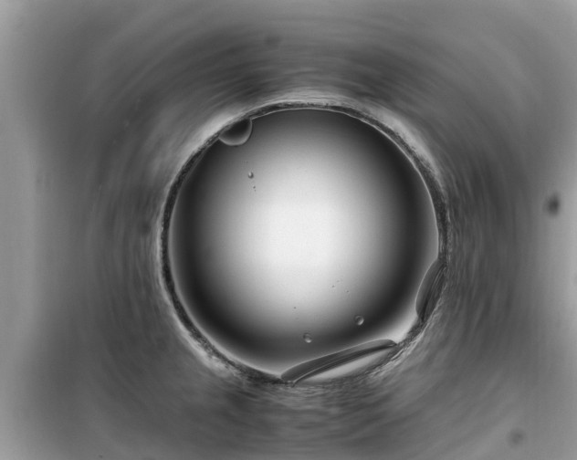 X0000099511237200805221415