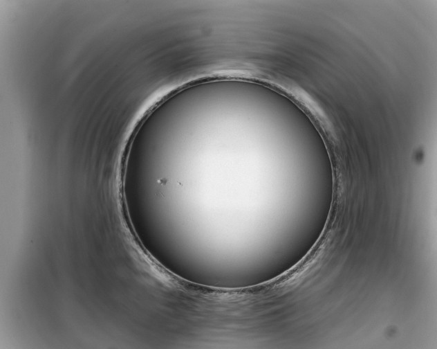 X0000099511240200805221415
