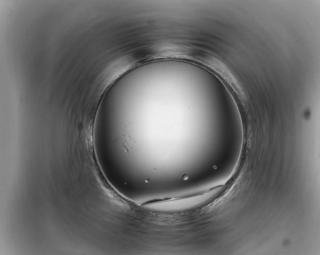 X0000099511241200805221415