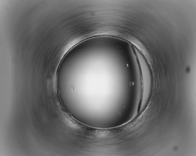 X0000099511242200805221415