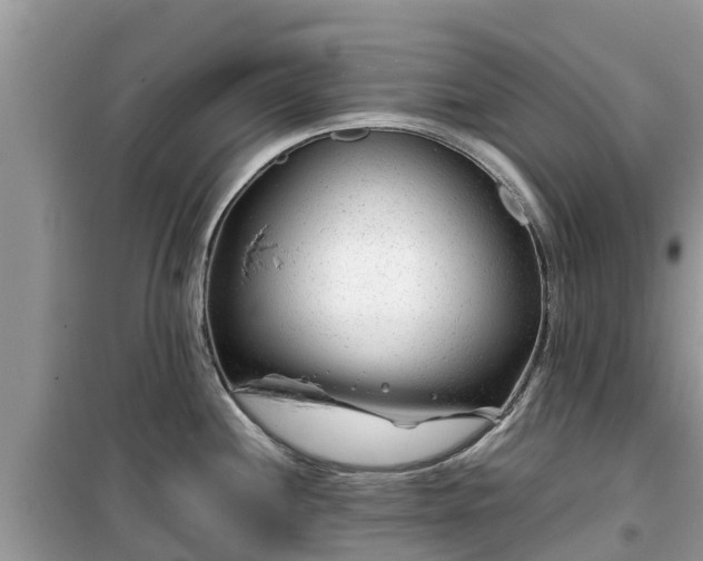 X0000099511244200805221415