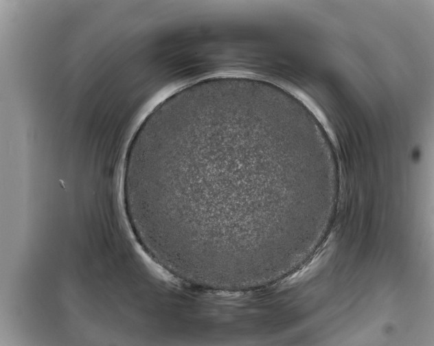 X0000099511245200805221415