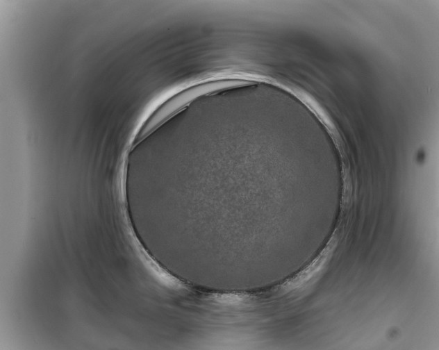 X0000099511246200805221415