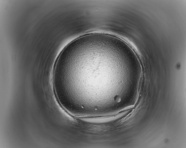 X0000099511247200805221415