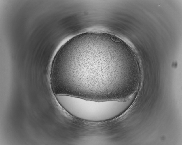 X0000099511248200805221415