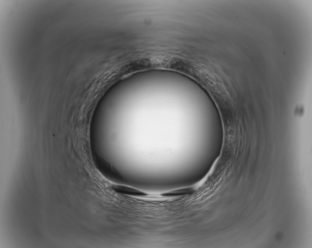 X0000099511249200805221414