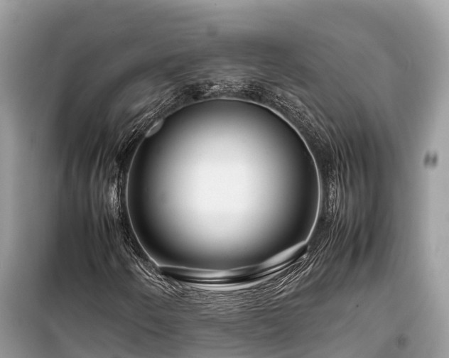 X0000099511250200805221414