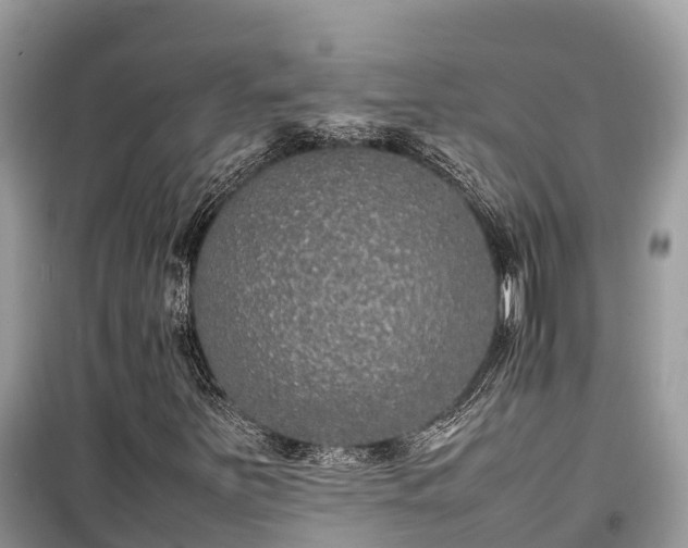 X0000099511251200805221414