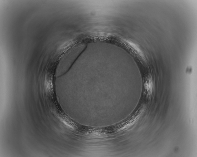 X0000099511252200805221414