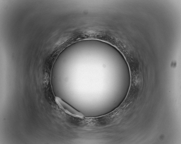 X0000099511253200805221414
