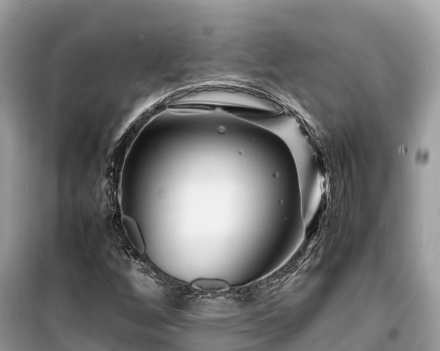 X0000099511256200805221414