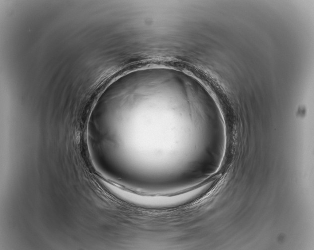 X0000099511257200805221414