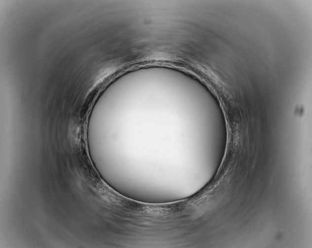 X0000099511258200805221414