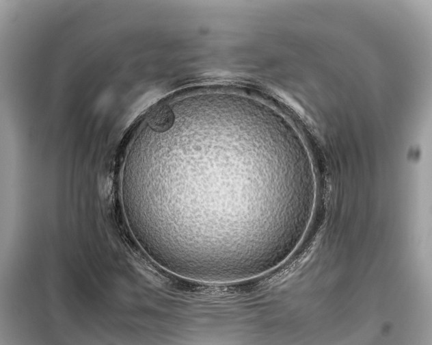 X0000099511259200805221414