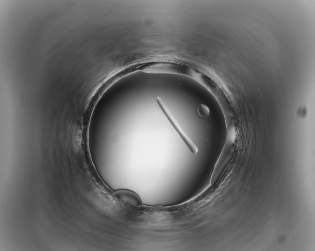 X0000099511260200805221414
