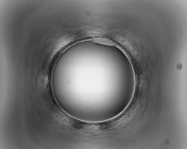 X0000099511261200805221414