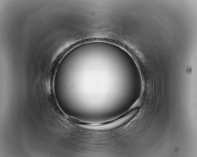 X0000099511262200805221414