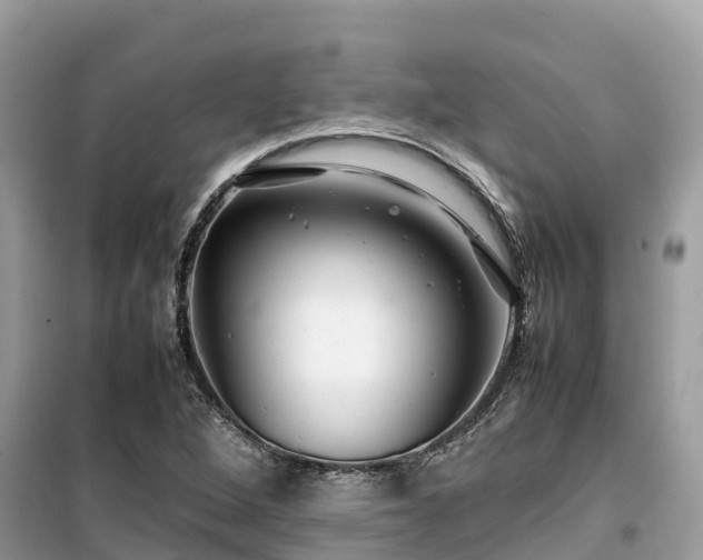 X0000099511264200805221414