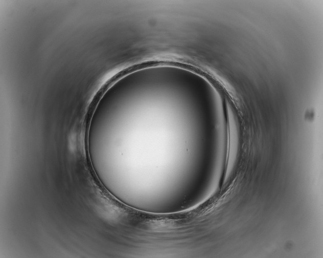 X0000099511272200805221414