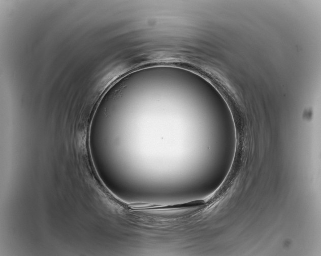 X0000099511273200805221414