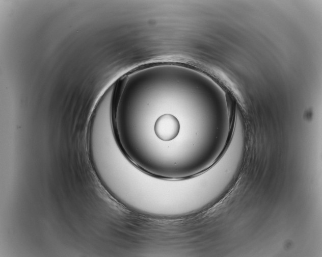 X0000099511276200805221414