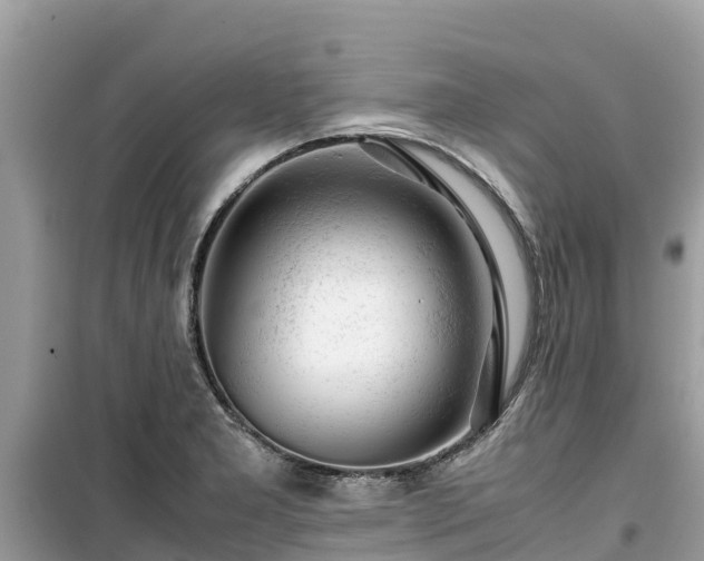 X0000099511277200805221414