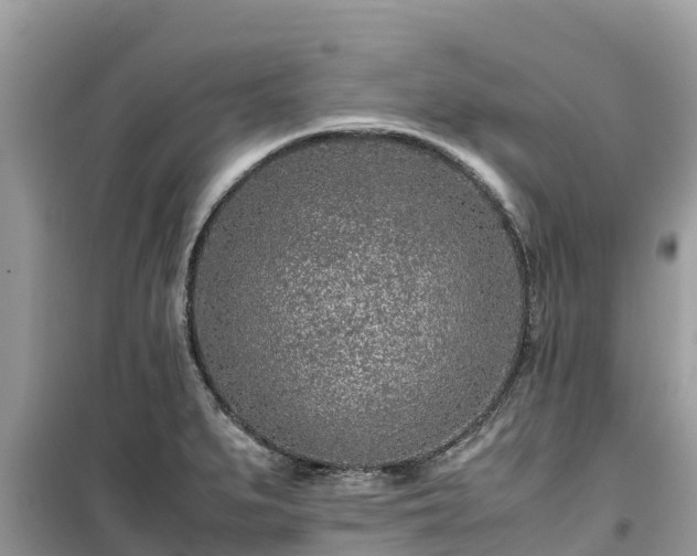 X0000099511279200805221414