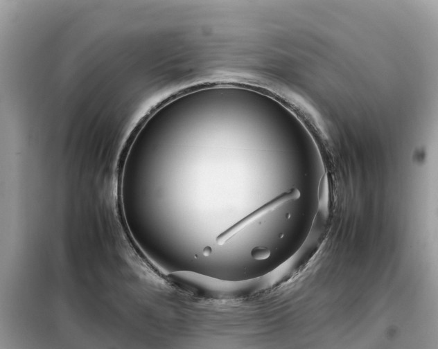 X0000099511280200805221414