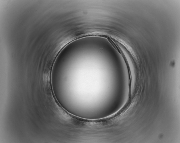 X0000099511281200805221414