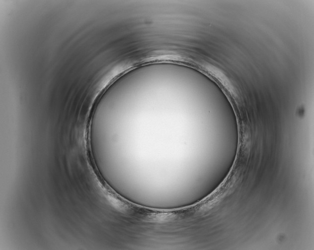 X0000099511282200805221414