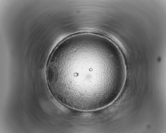X0000099511283200805221414